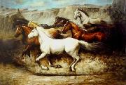 unknow artist Horses 020 china oil painting reproduction